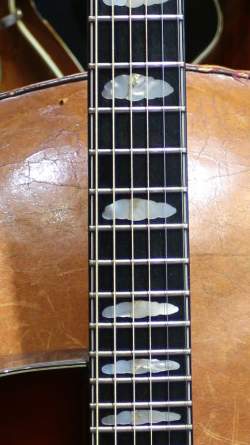 Buscarino Starlight Steel String Custom Built de 1995