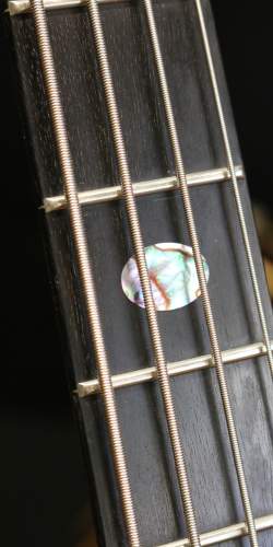 Alembic Deluxe Signature Stanley Clarke de 2013