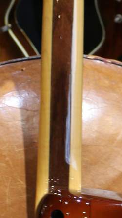 Buscarino Starlight Steel String Custom Built de 1995