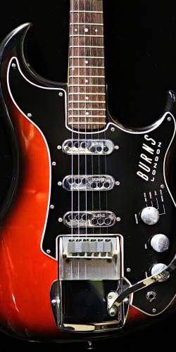 Burns Split Sound Wild Dog set-up de 1963