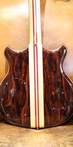 Alembic Deluxe Signature Stanley Clarke de 2013