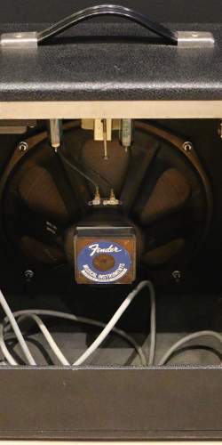 Fender Musicmaster Bass Amp de 1975