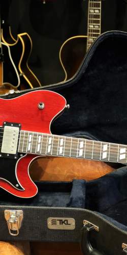 Echopark Esperanto 313 Cherry 2010's