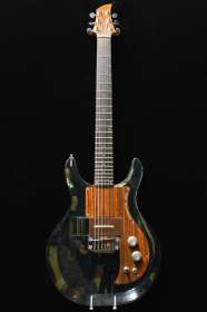 Ampeg Dan Armstrong Lucite de 1970