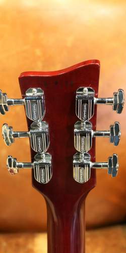 Echopark Esperanto 313 Cherry 2010's