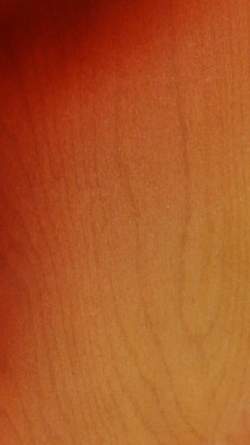 Rickenbacker 360 Fireglo de 1967