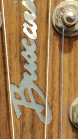 Buscarino Starlight Steel String Custom Built de 1995
