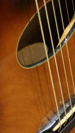 Buscarino Starlight Steel String Custom Built de 1995