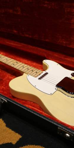 Fender Telecaster Transparent Blonde / White de 1973