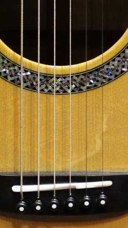 PRS Private Stock Collection  #033 Tonare Grand Acoustic de 2011