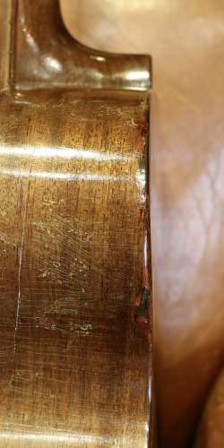 Martin 00-17 Natural de 1955