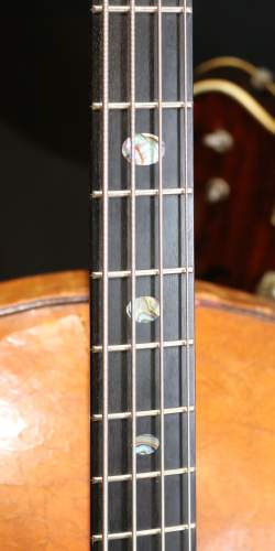 Alembic Deluxe Signature Stanley Clarke de 2013