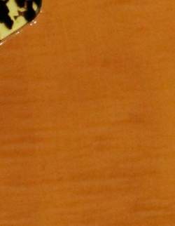 Philippe Dubreuille Guitare / Cithare de 1998
