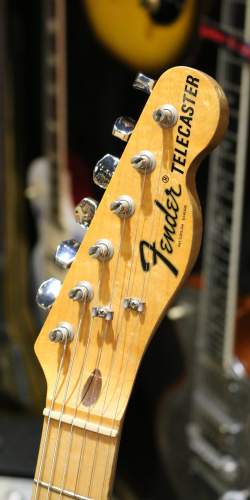 Fender Telecaster Transparent Blonde / White de 1973