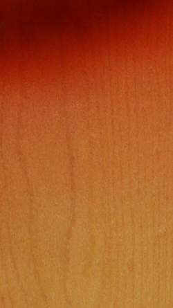 Rickenbacker 360 Fireglo de 1967