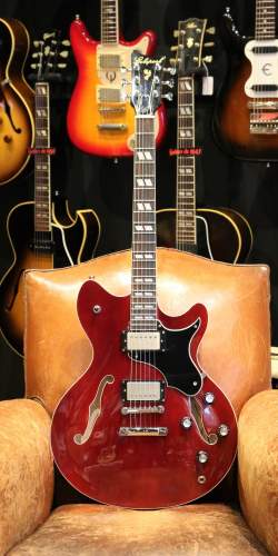 Echopark Esperanto 313 Cherry 2010's