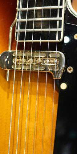 Guild Artist Award Sunburst de 1975