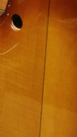 Buscarino Starlight Steel String Custom Built de 1995