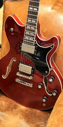 Echopark Esperanto 313 Cherry 2010's