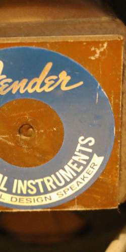 Fender Musicmaster Bass Amp de 1975