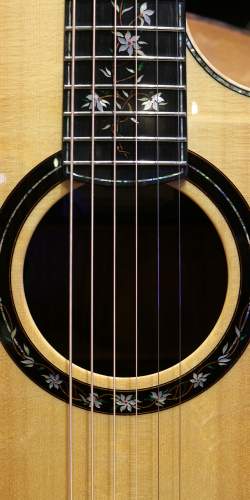 PRS Private Stock Angelus Cutaway Tree Of Life Limited Edition 1/11 de 2014