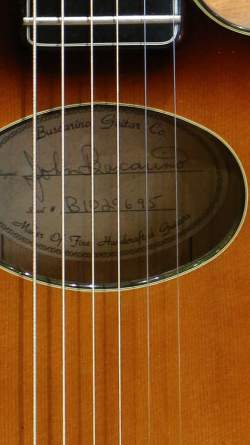 Buscarino Starlight Steel String Custom Built de 1995