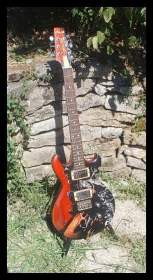 Cardinal Serie à la sauce P'tiluc...