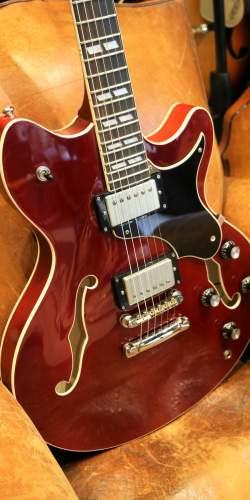 Echopark Esperanto 313 Cherry 2010's