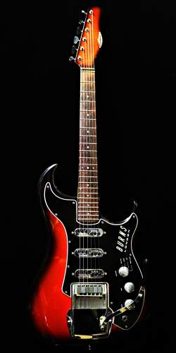 Burns Split Sound Wild Dog set-up de 1963