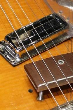Philippe Dubreuille Guitare / Cithare de 1998