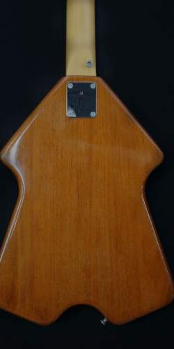 Burns Flyte Concord 1976