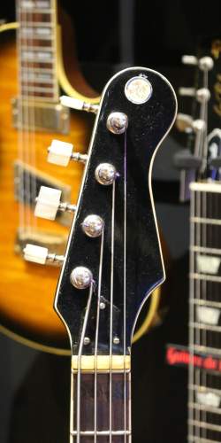 Eko 500 Bass Gold / Tortoise de 1964