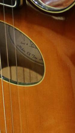 Buscarino Starlight Steel String Custom Built de 1995