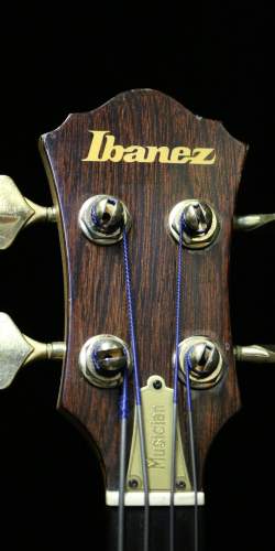 Ibanez Musician Bass Fretless de 1983