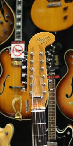 Fender Electric XII sunburst de 1966