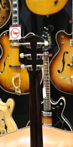 Dobro Recording King RM 998