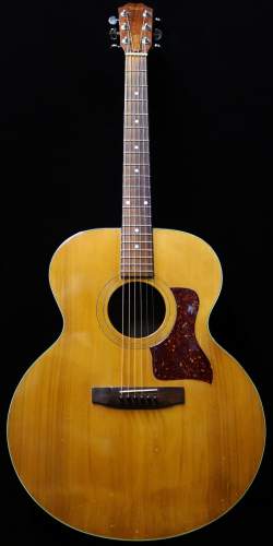 Taylor 515 Naturelle de 1978