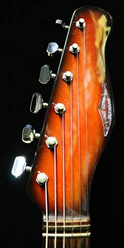 Burns Split Sound Wild Dog set-up de 1963