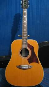 EKO Rio Bravo 12 cordes