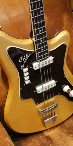 Eko 500 Bass Gold / Tortoise de 1964