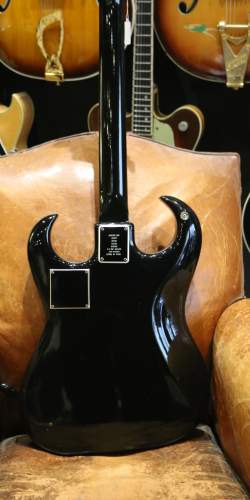 Burns Black Bison de 1963